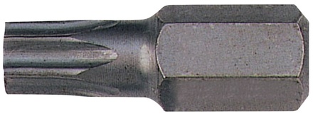 Punta Torx 55 de 10 mm, 30 mm